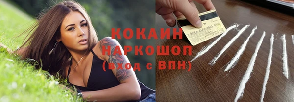 PSILOCYBIN Зеленодольск